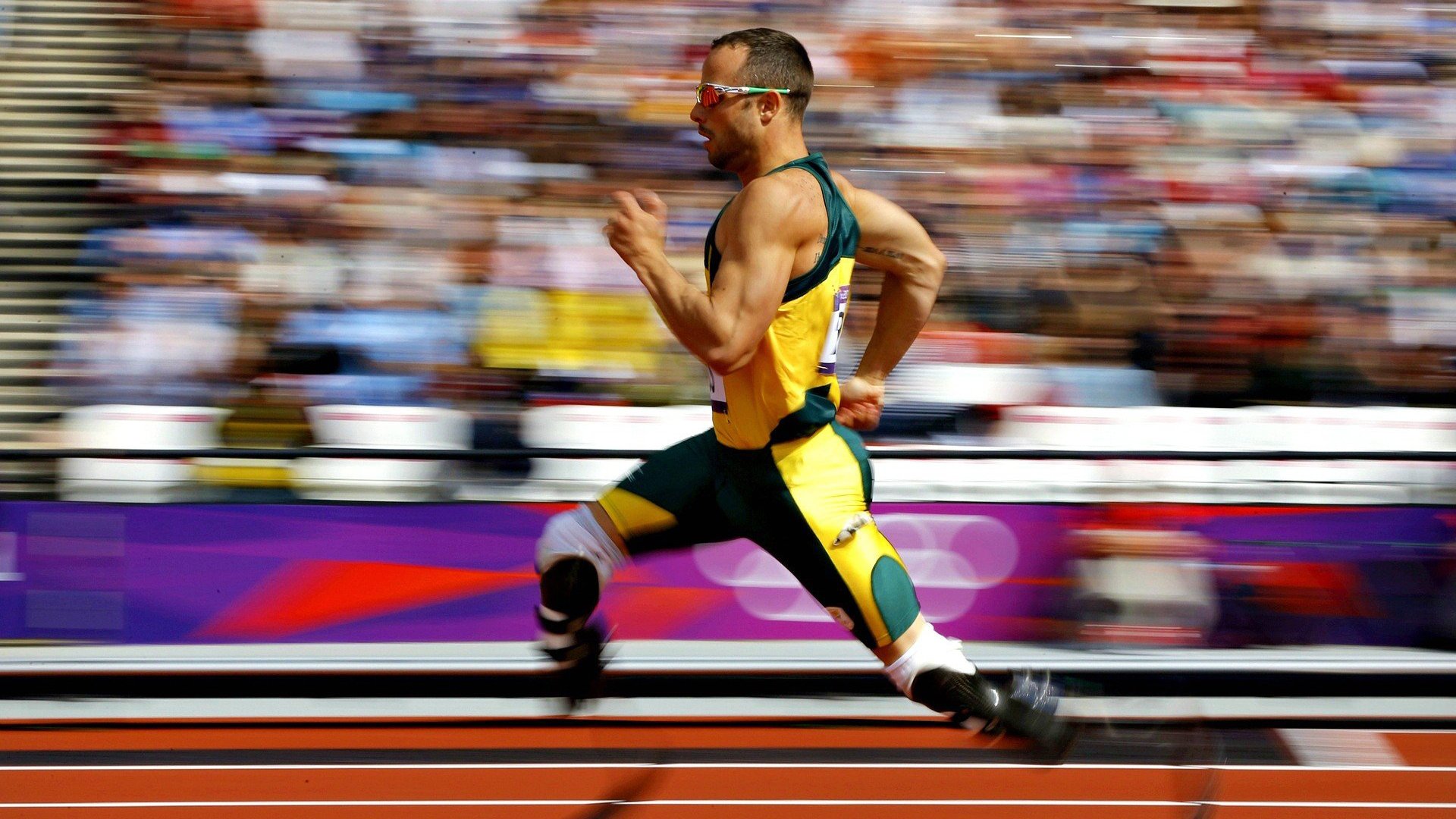 美洲杯激情巨献:个人表现点燃赛场,美洲杯精彩集锦