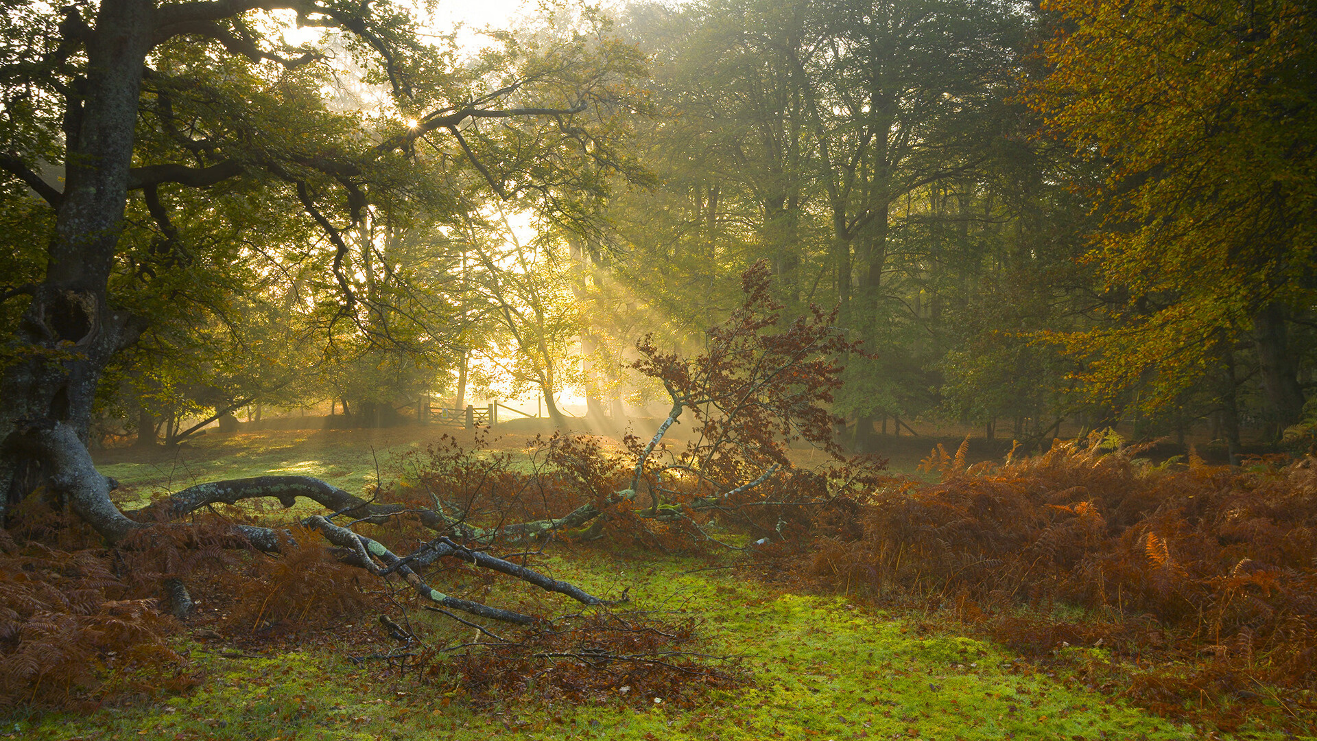 kaiyun登录入口-《CS_GO东亚冠军赛，顶尖战队争夺荣耀》，csgo亚洲第一战队